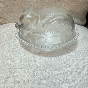 Indiana Clear Sleeping Cat on Nest